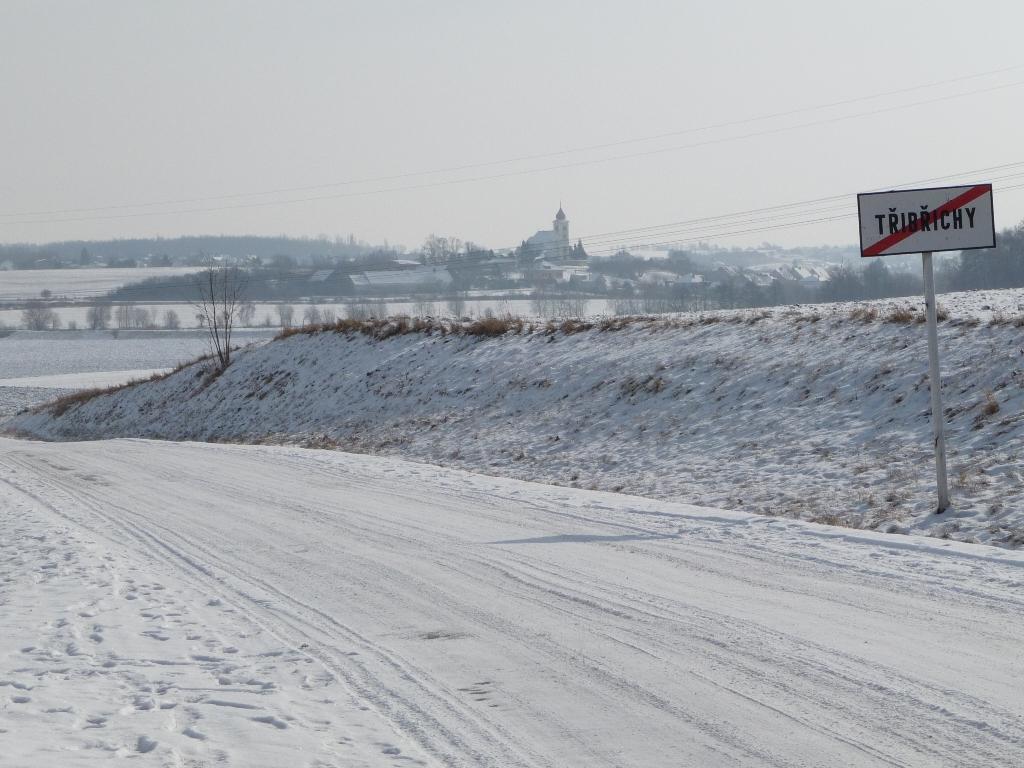 Třibřichy